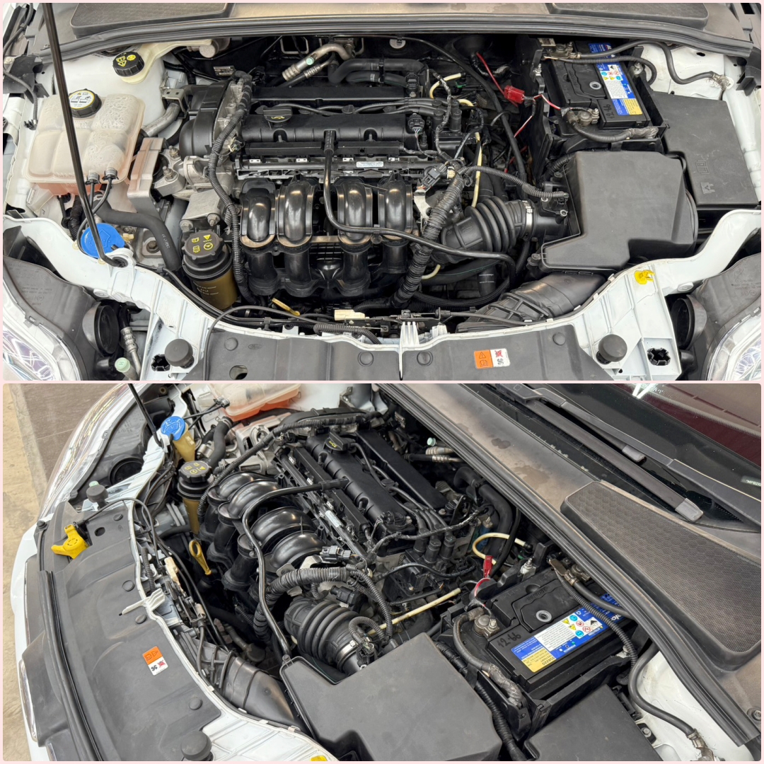 FOCUS 1.6 Trend 2013