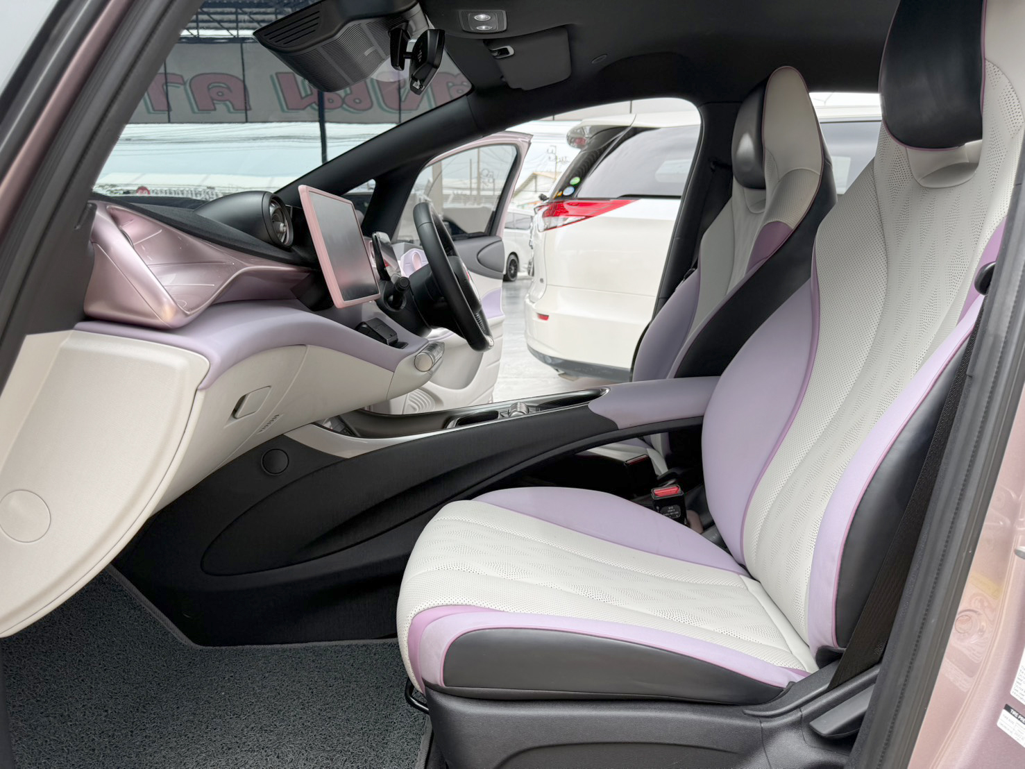 BYD Dolphin STANDARD RANGE 2024