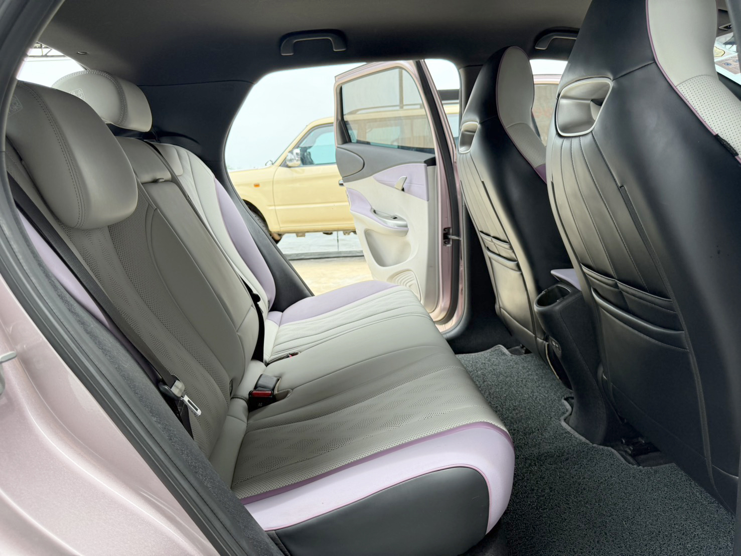 BYD Dolphin STANDARD RANGE 2024