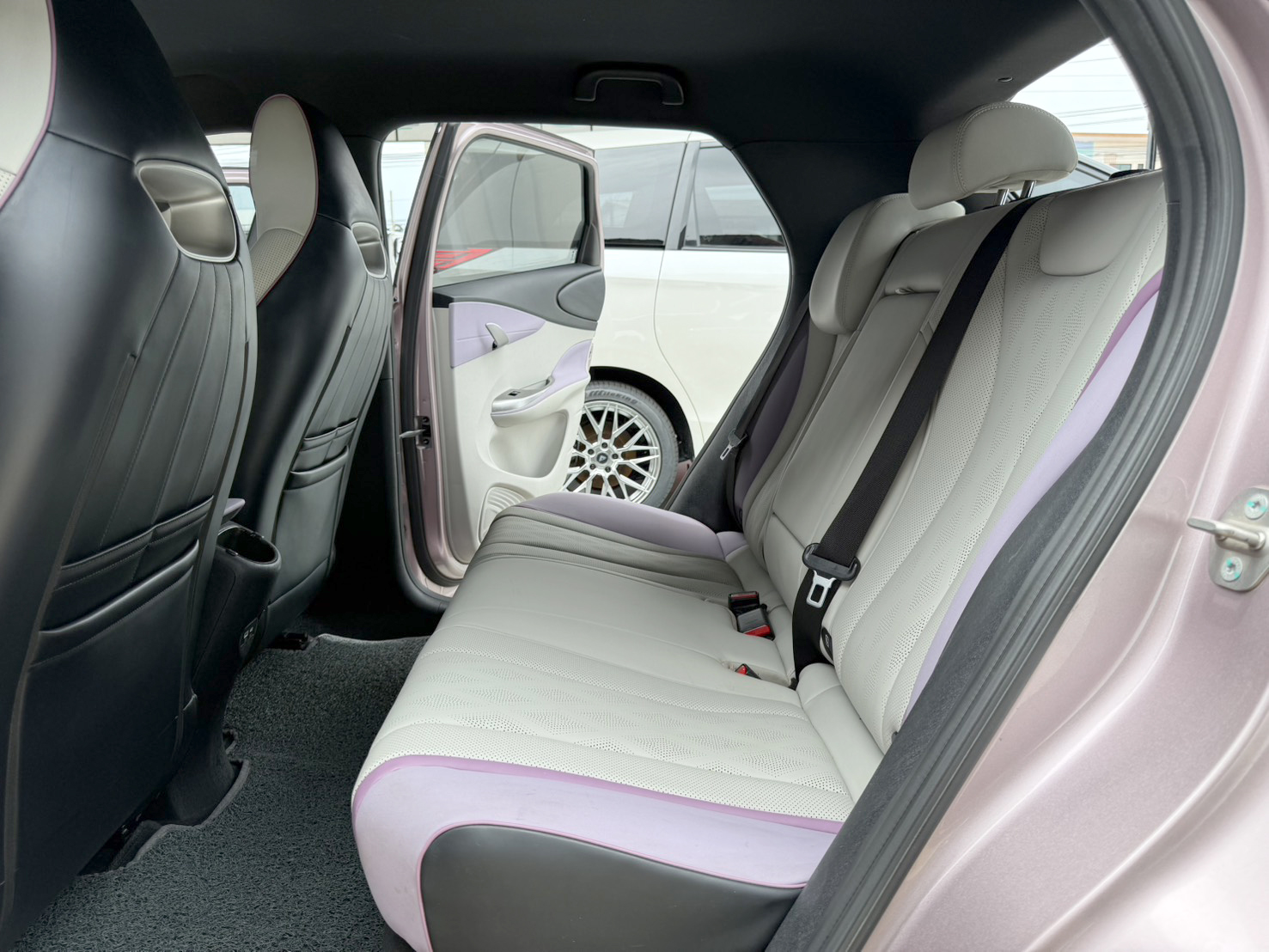 BYD Dolphin STANDARD RANGE 2024