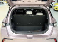 BYD Dolphin STANDARD RANGE 2024