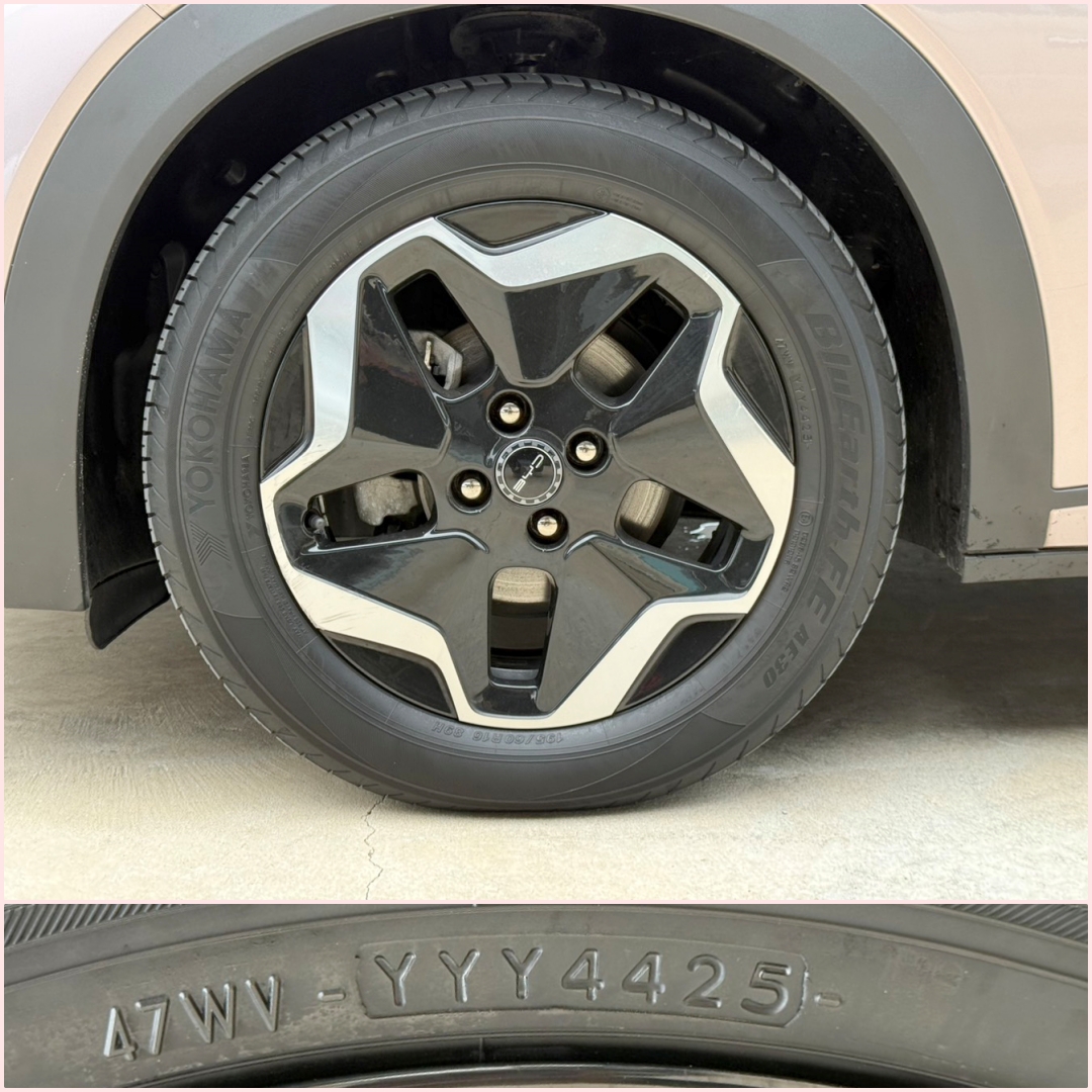 BYD Dolphin STANDARD RANGE 2024