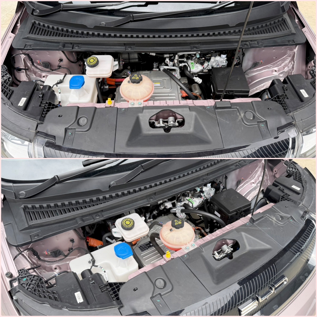 BYD Dolphin STANDARD RANGE 2024