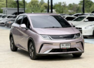 BYD Dolphin STANDARD RANGE 2024