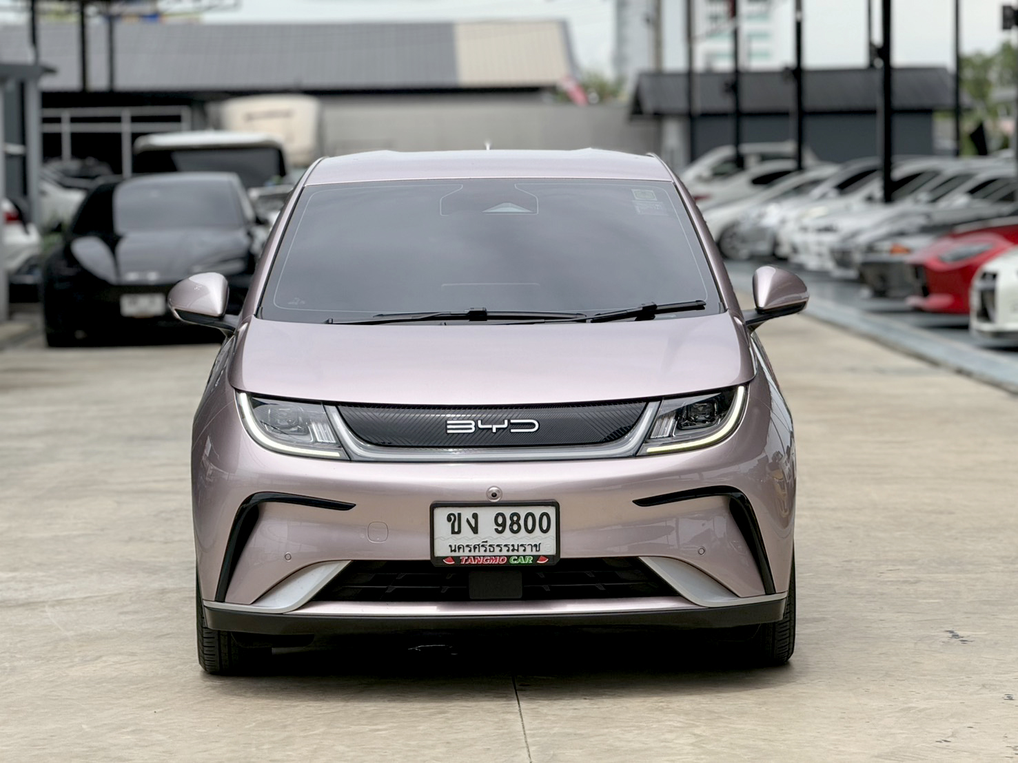 BYD Dolphin STANDARD RANGE 2024
