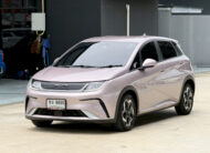 BYD Dolphin STANDARD RANGE 2024