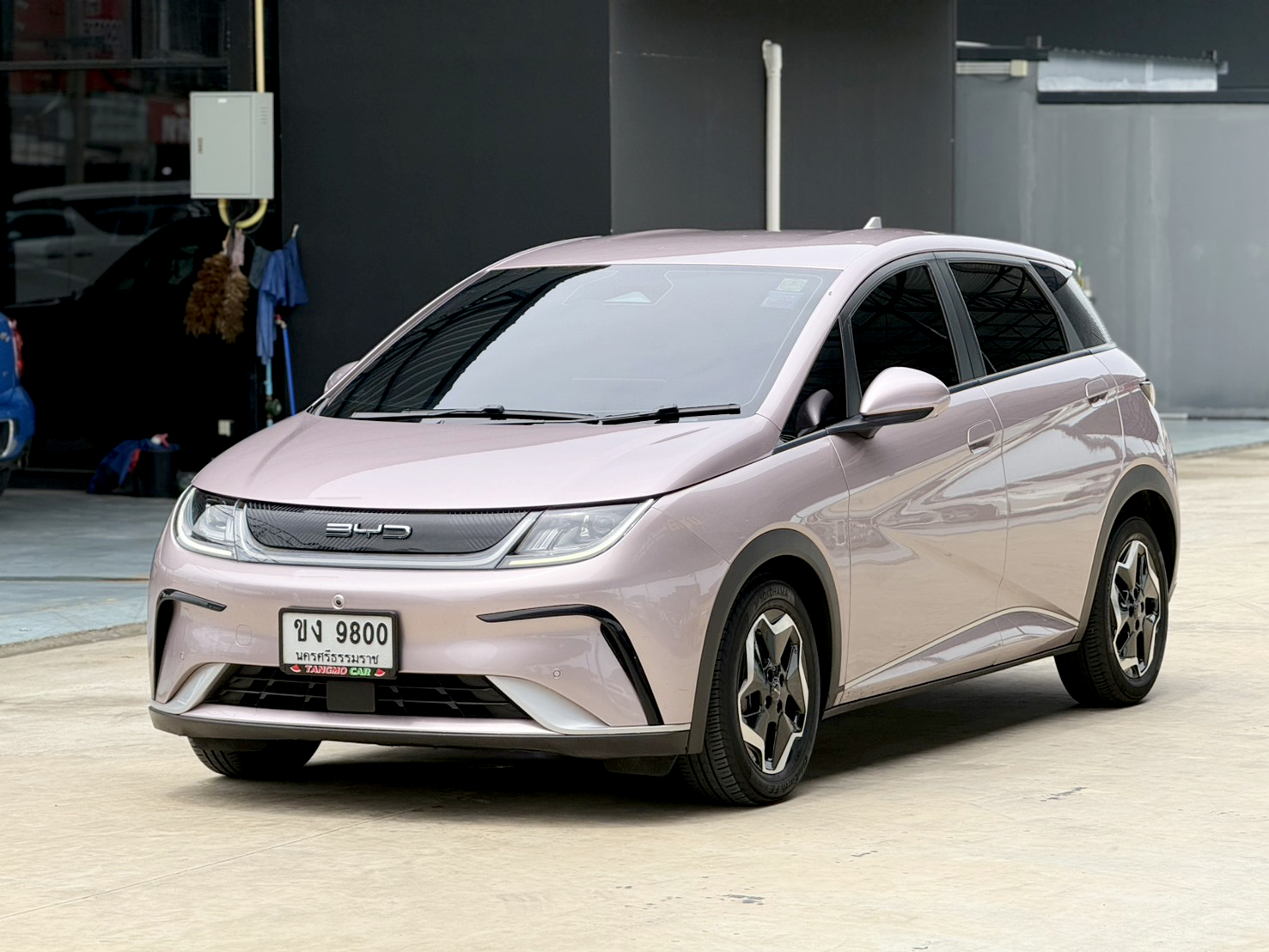 BYD Dolphin STANDARD RANGE 2024