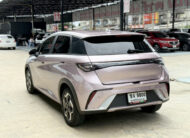 BYD Dolphin STANDARD RANGE 2024