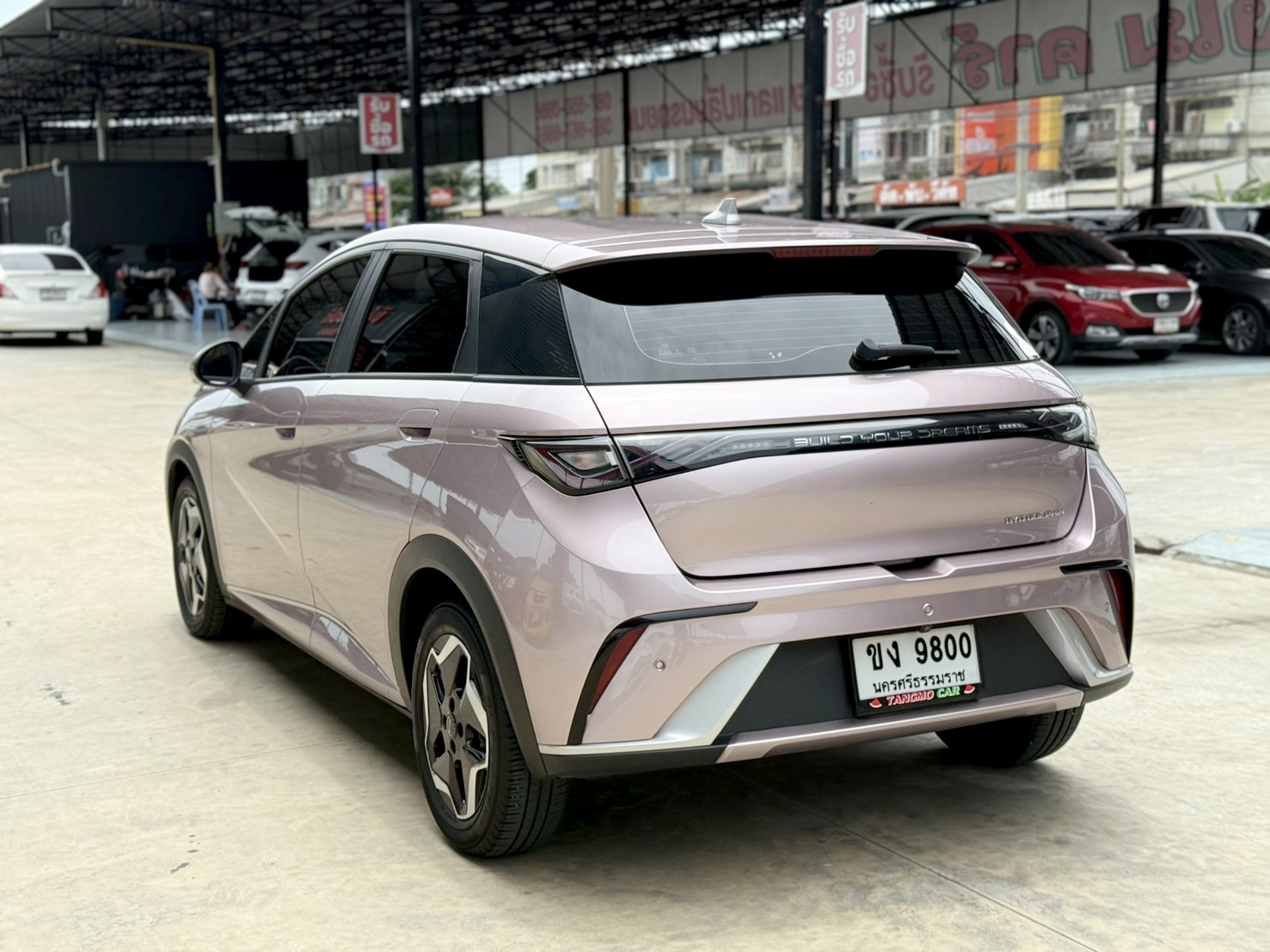 BYD Dolphin STANDARD RANGE 2024
