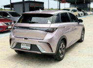 BYD Dolphin STANDARD RANGE 2024