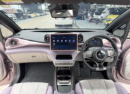 BYD Dolphin STANDARD RANGE 2024